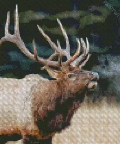 North American Elk Diamond Painting