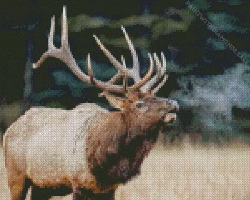 North American Elk Diamond Painting