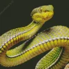 Olive Green Snake Diamond Painting