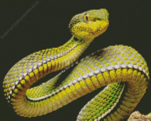 Olive Green Snake Diamond Painting