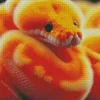 Orange Fluffy Snake Diamond Painting