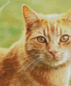 Orange Ginger Cat Diamond Painting