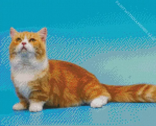 Orange Munchkin Cat Diamond Painting