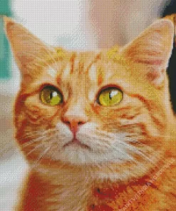 Orange Tabby Cat Ginger Diamond Painting