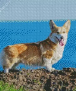 Pembroke Welsh Corgi Dog Diamond Painting