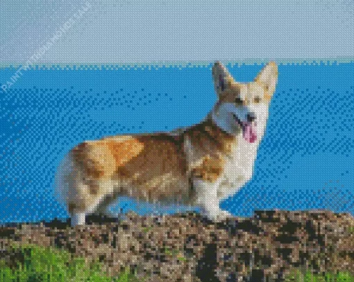 Pembroke Welsh Corgi Dog Diamond Painting