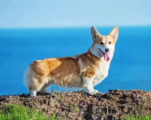 Pembroke Welsh Corgi Dog Diamond Painting