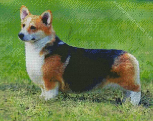 Pembroke Welsh Corgi Dog In Grass Diamond Painting