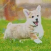 Pembroke Welsh Corgi In Grass Diamond Painting