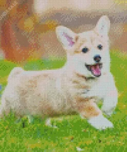 Pembroke Welsh Corgi In Grass Diamond Painting