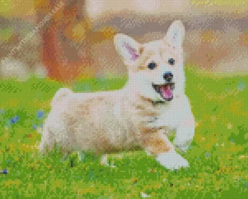 Pembroke Welsh Corgi In Grass Diamond Painting