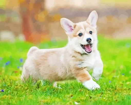 Pembroke Welsh Corgi In Grass Diamond Painting