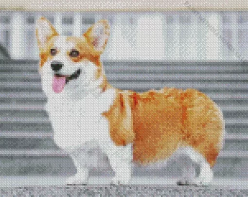 Pembroke Welsh Corgi On Stairs Diamond Painting