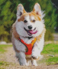 Pembroke Welsh Corgi Playing Diamond Painting