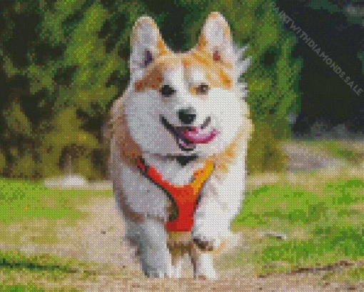 Pembroke Welsh Corgi Playing Diamond Painting