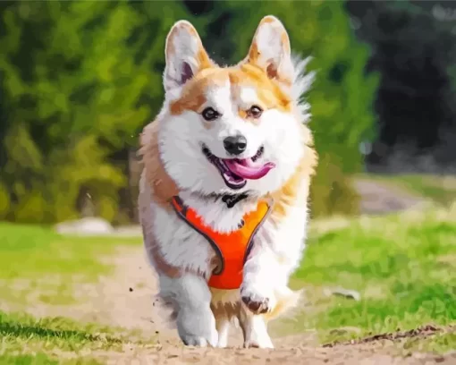 Pembroke Welsh Corgi Playing Diamond Painting