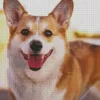 Pembroke Welsh Corgi Puppy Diamond Painting