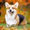 Pembroke Welsh Corgi With Autumn Leaves Diamond Painting