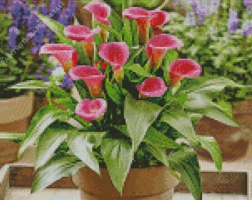 Pink Calla Lilies Diamond Painting