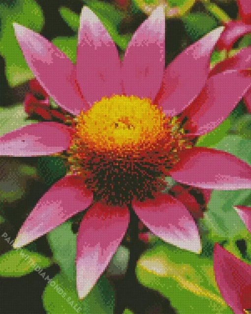 Pink Coneflower Diamond Painting