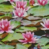 Pink Water Lily Diamond Painting