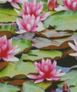 Pink Water Lily Diamond Painting