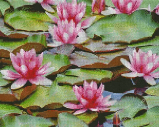 Pink Water Lily Diamond Painting