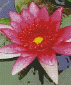 Pink Water Lily Flower Diamond Painting