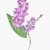 Pink Wisteria Diamond Painting