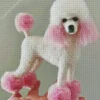 Pink And White Poodle Diamond Painting