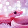 Pink Baby Snake Diamond Painting