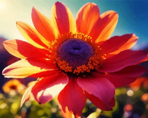 Pink Flowery Coneflower In Sunny Field Diamond Painting