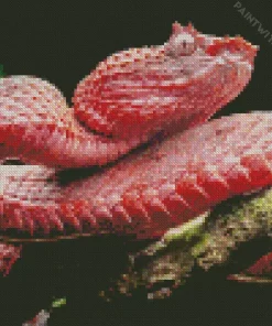 Pink Viper Snake Diamond Painting