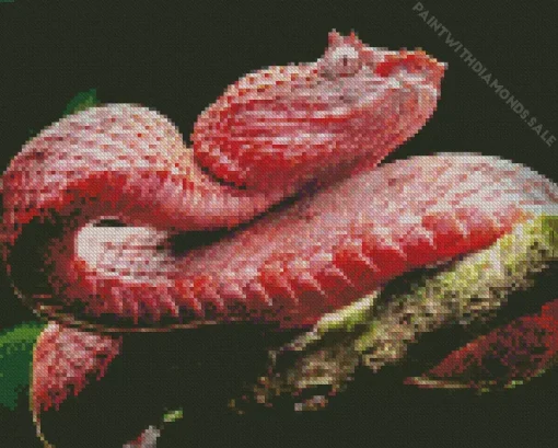 Pink Viper Snake Diamond Painting