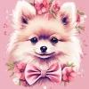 Pomeranian Poodle Art Diamond Painting