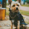 Punk Yorkshire Terrier Diamond Painting