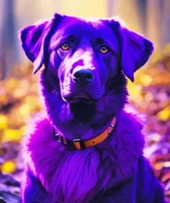 Purple Labrador Dog Diamond Painting