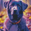 Purple Labrador Dog Diamond Painting