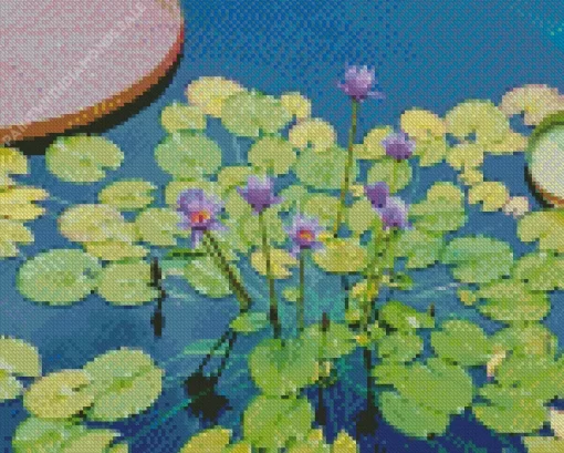 Purple Water Lilies Diamond Painting