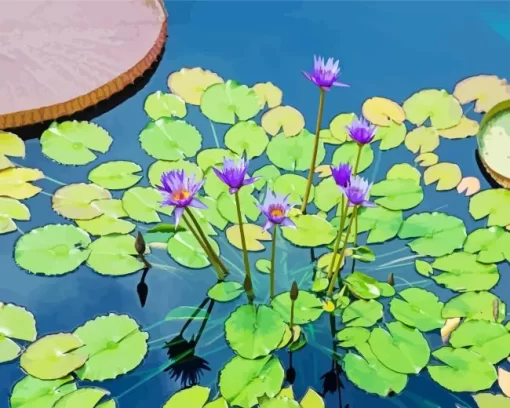 Purple Water Lilies Diamond Painting