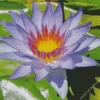 Purple Water Lily Diamond Painting