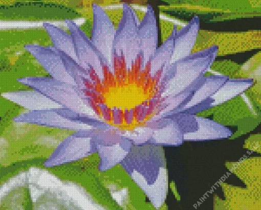 Purple Water Lily Diamond Painting