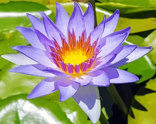 Purple Water Lily Diamond Painting