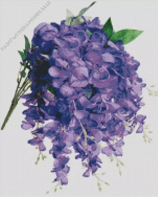 Purple Wisteria Plant Diamond Painting