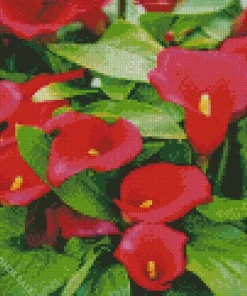 Red Calla Lilies Flowers Diamond Painting