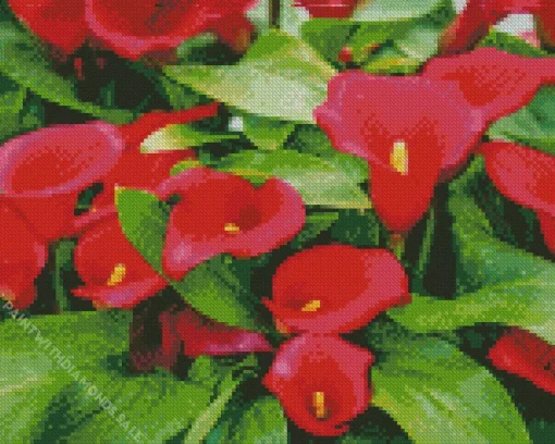 Red Calla Lilies Flowers Diamond Painting