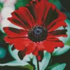 Red Coneflower Diamond Painting