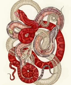 Red And White Snakes Diamond Painting