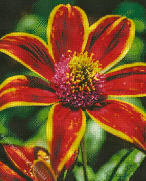 Red And Yellow Coneflower Diamond Painting