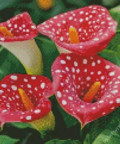 Red Dotted Calla Lilies Diamond Painting